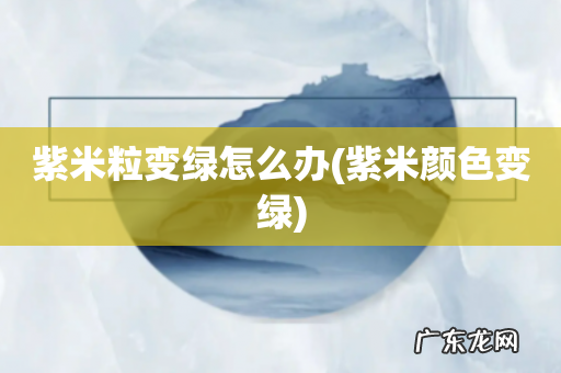 紫米颜色变绿 紫米粒变绿怎么办