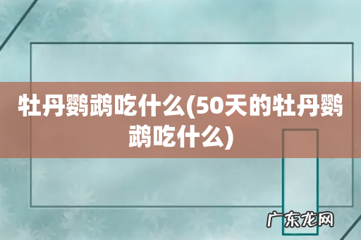 50天的牡丹鹦鹉吃什么 牡丹鹦鹉吃什么