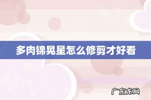 多肉锦晃星怎么修剪才好看