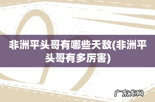 非洲平头哥有多厉害 非洲平头哥有哪些天敌