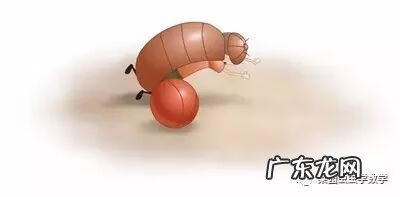 神级守门员免费阅读 超级守门员系统