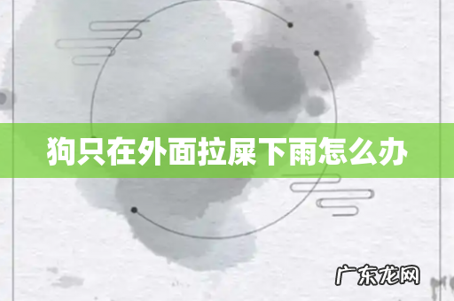 狗只在外面拉屎下雨怎么办