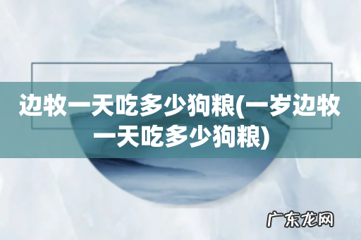 一岁边牧一天吃多少狗粮 边牧一天吃多少狗粮
