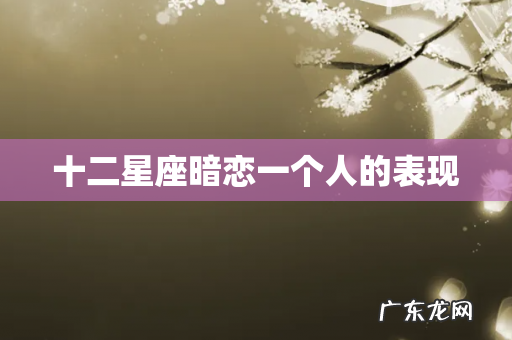 十二星座暗恋一个人的表现