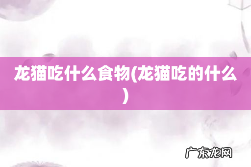 龙猫吃的什么 龙猫吃什么食物
