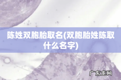 双胞胎姓陈取什么名字 陈姓双胞胎取名