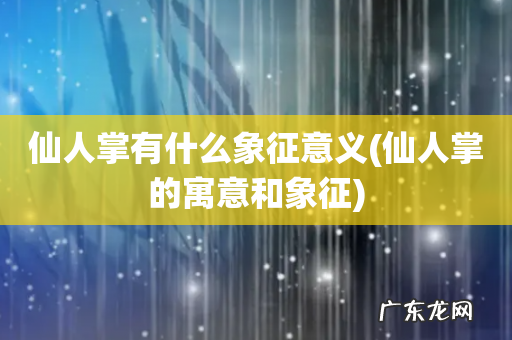 仙人掌的寓意和象征 仙人掌有什么象征意义
