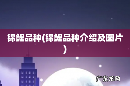 锦鲤品种介绍及图片 锦鲤品种