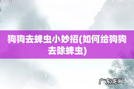 如何给狗狗去除蜱虫 狗狗去蜱虫小妙招