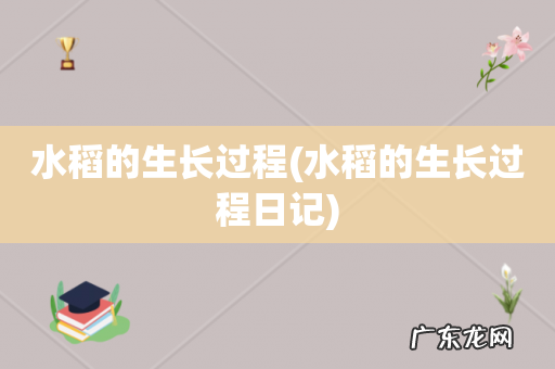 水稻的生长过程日记 水稻的生长过程