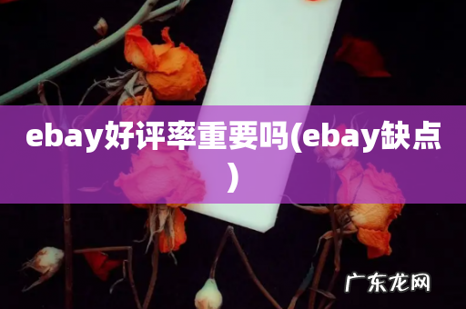 ebay缺点 ebay好评率重要吗