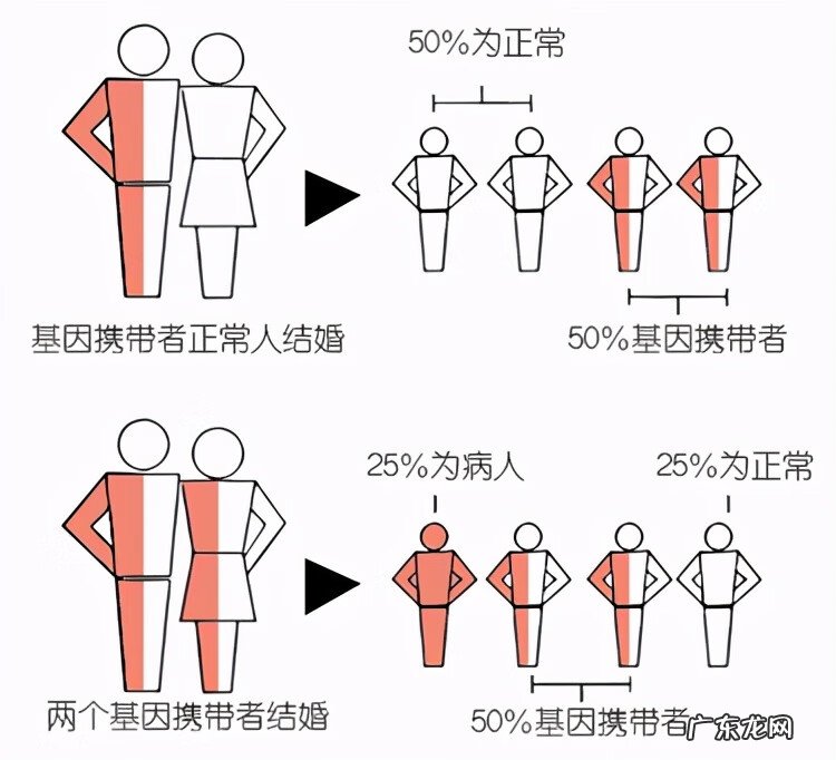 地中海贫血是什么意思