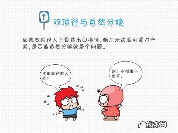 双顶径多少正常范围 双顶径标准图