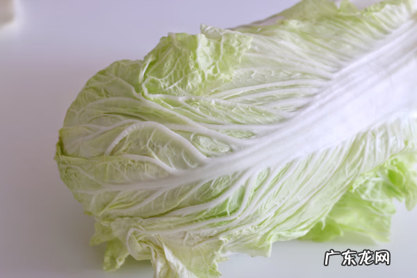 东北酸菜要腌制多久 东北酸菜 腌制方法