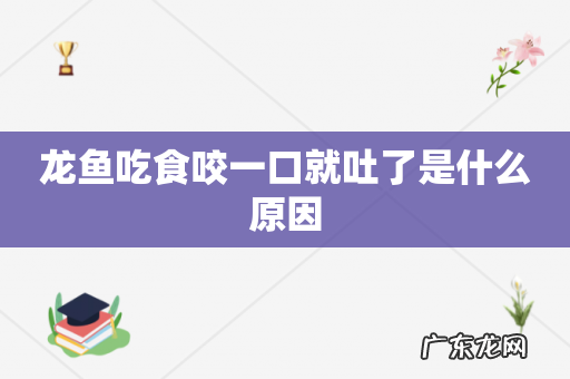 龙鱼吃食咬一口就吐了是什么原因
