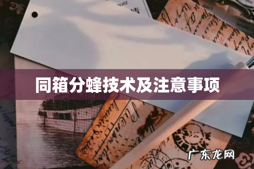 同箱分蜂技术及注意事项