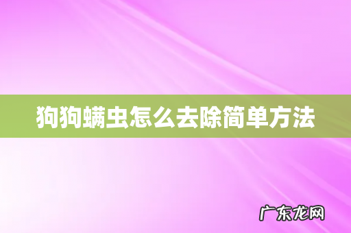 狗狗螨虫怎么去除简单方法