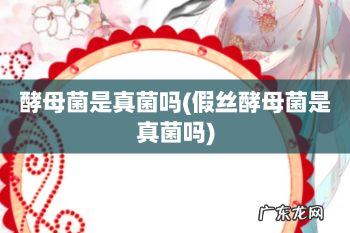 假丝酵母菌是真菌吗 酵母菌是真菌吗