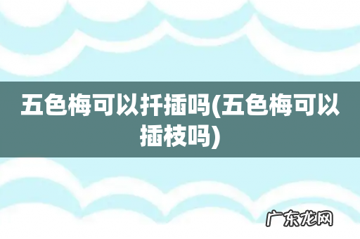 五色梅可以插枝吗 五色梅可以扦插吗
