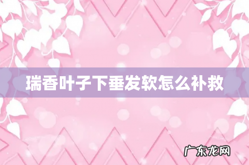 瑞香叶子下垂发软怎么补救