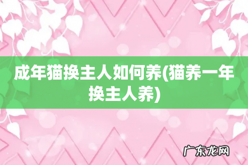 猫养一年换主人养 成年猫换主人如何养