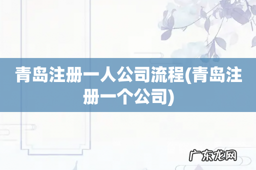 青岛注册一个公司 青岛注册一人公司流程