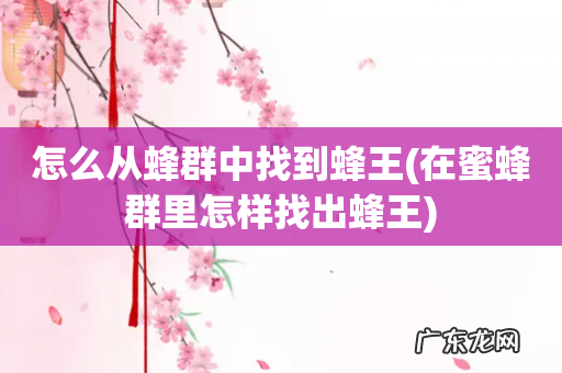 在蜜蜂群里怎样找出蜂王 怎么从蜂群中找到蜂王