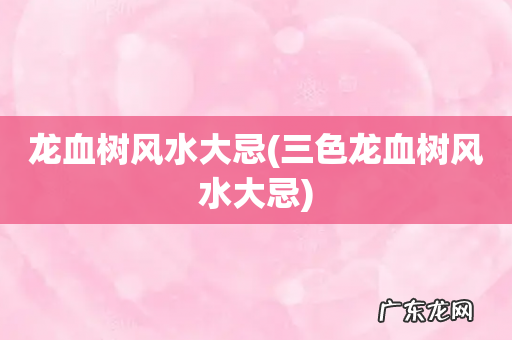 三色龙血树风水大忌 龙血树风水大忌