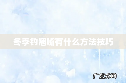 冬季钓翘嘴有什么方法技巧