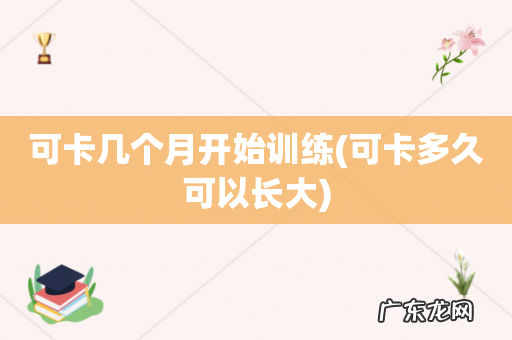 可卡多久可以长大 可卡几个月开始训练