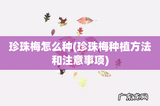 珍珠梅种植方法和注意事项 珍珠梅怎么种