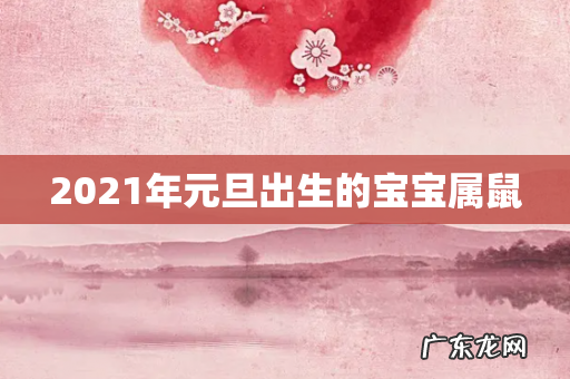 2021年元旦出生的宝宝属鼠