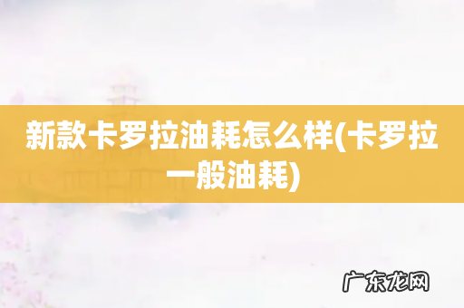 卡罗拉一般油耗 新款卡罗拉油耗怎么样