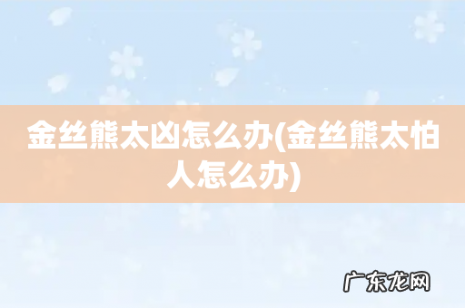 金丝熊太怕人怎么办 金丝熊太凶怎么办