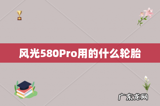 风光580Pro用的什么轮胎