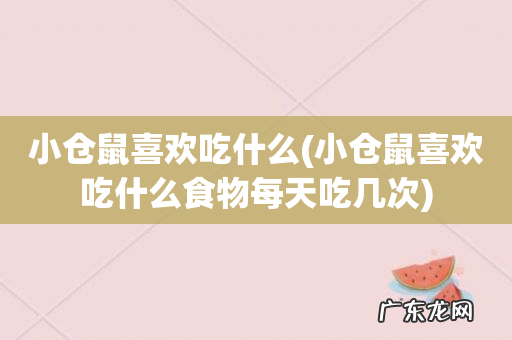 小仓鼠喜欢吃什么食物每天吃几次 小仓鼠喜欢吃什么