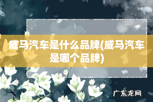 威马汽车是哪个品牌 威马汽车是什么品牌