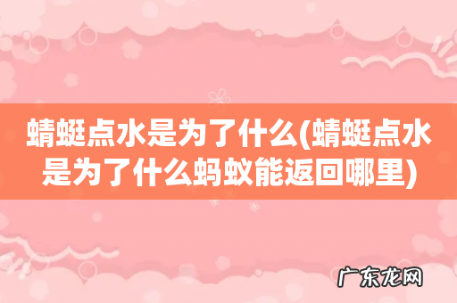 蜻蜓点水是为了什么蚂蚁能返回哪里 蜻蜓点水是为了什么