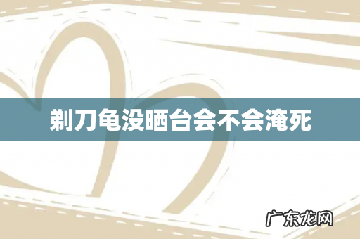 剃刀龟没晒台会不会淹死