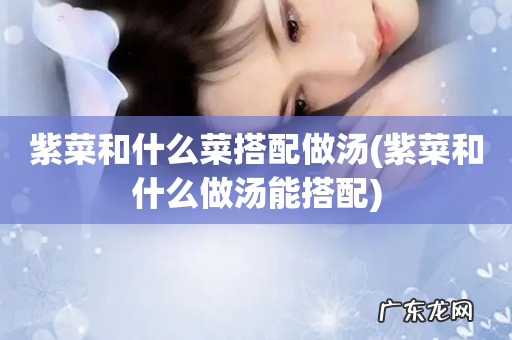 紫菜和什么做汤能搭配 紫菜和什么菜搭配做汤