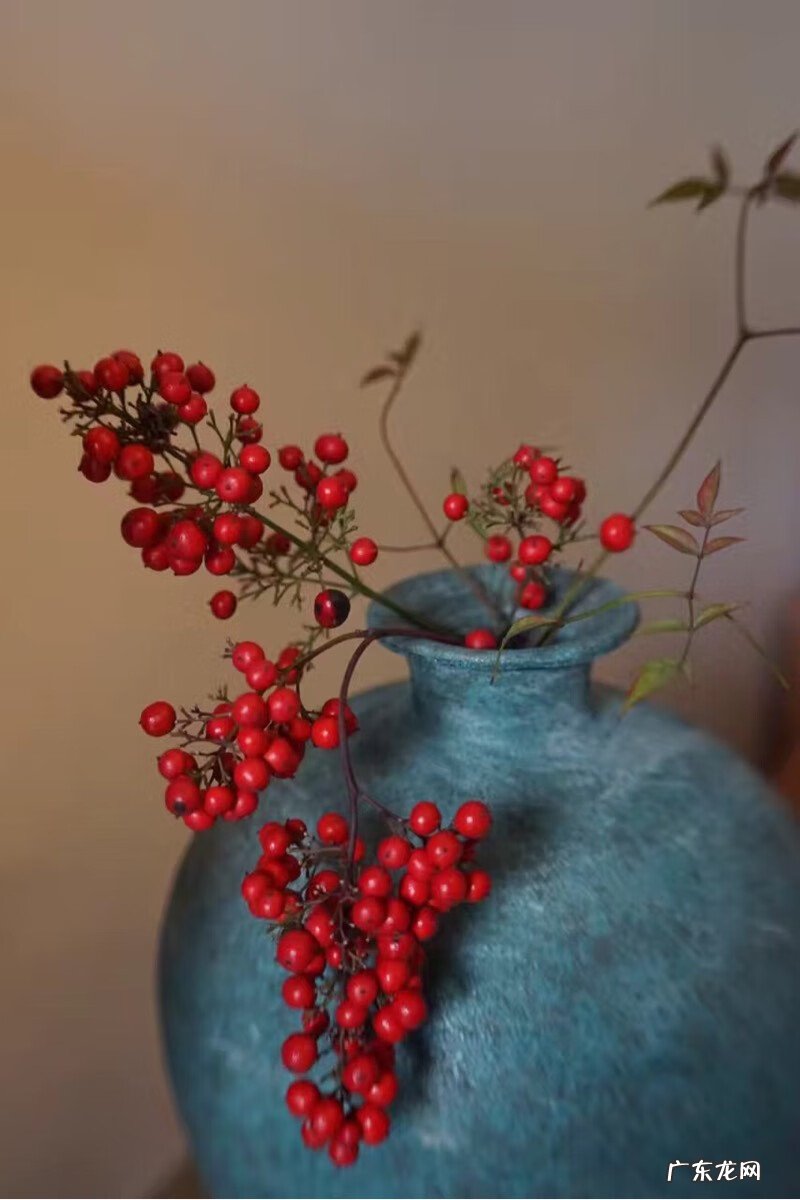 竹子风水禁忌 兰天竹风水