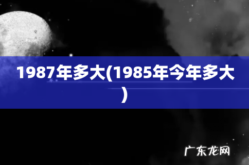 1985年今年多大 1987年多大