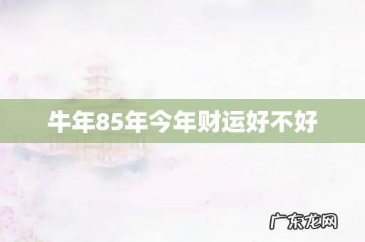 牛年85年今年财运好不好