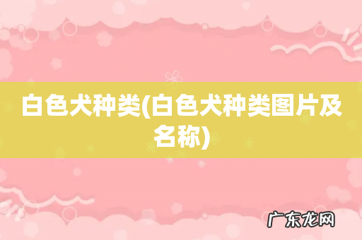 白色犬种类图片及名称 白色犬种类
