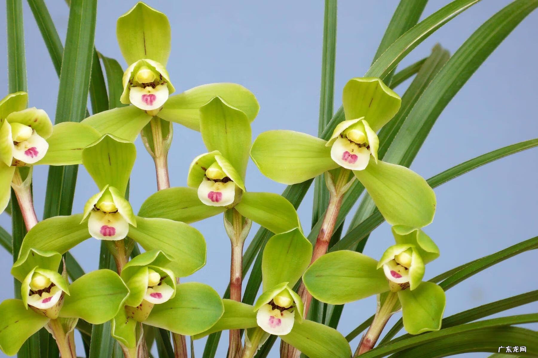 属于会计行政法规的是 会计行政法规包括什么