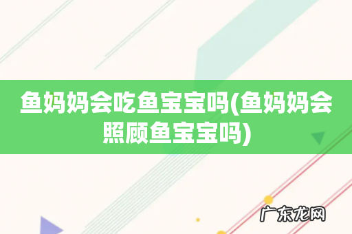 鱼妈妈会照顾鱼宝宝吗 鱼妈妈会吃鱼宝宝吗