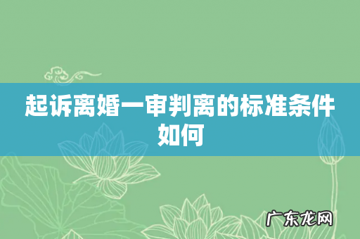 起诉离婚一审判离的标准条件如何