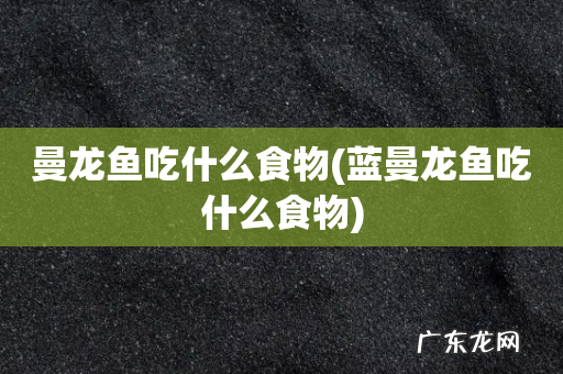 蓝曼龙鱼吃什么食物 曼龙鱼吃什么食物