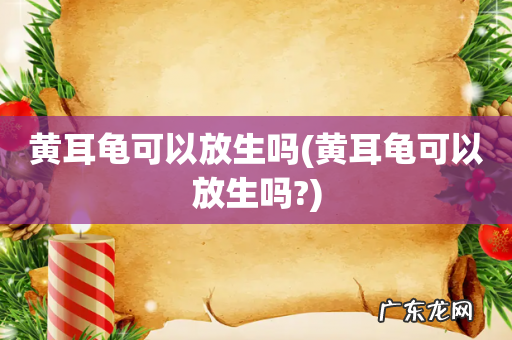 黄耳龟可以放生吗? 黄耳龟可以放生吗