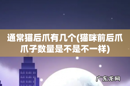 猫咪前后爪爪子数量是不是不一样 通常猫后爪有几个